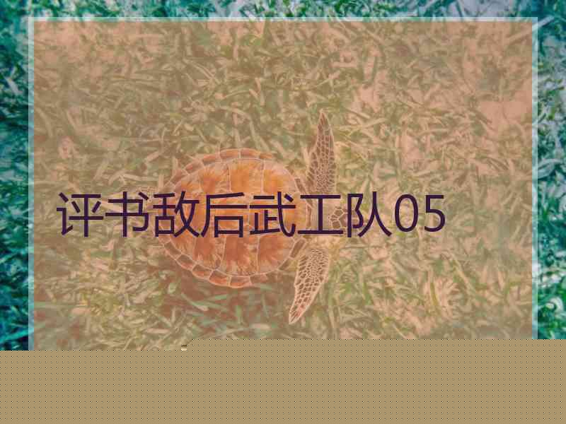 评书敌后武工队05