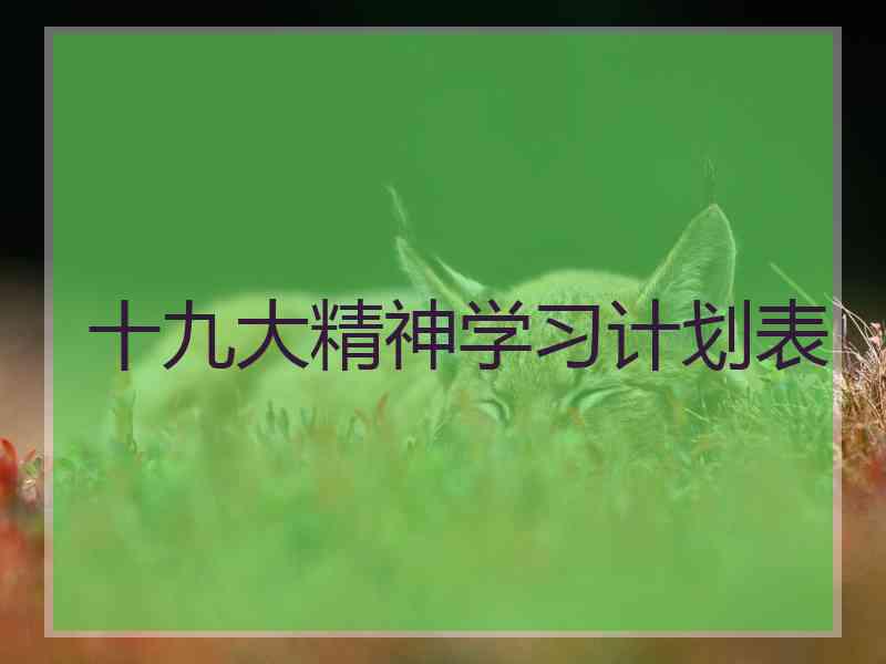 十九大精神学习计划表