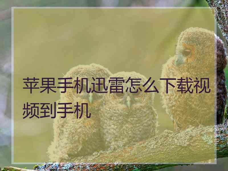 苹果手机迅雷怎么下载视频到手机