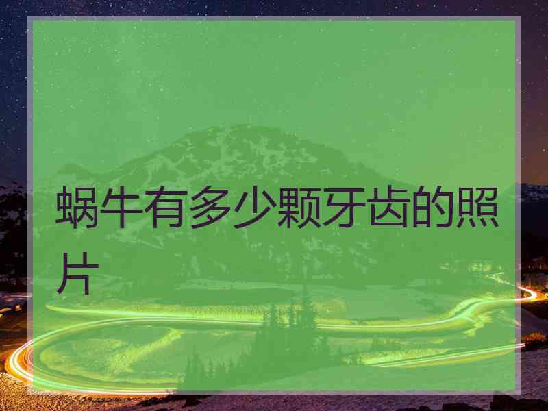 蜗牛有多少颗牙齿的照片