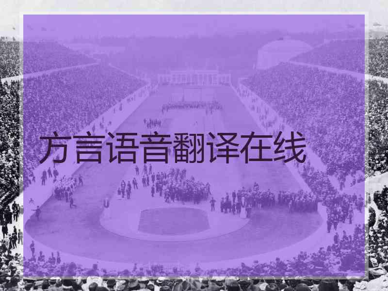 方言语音翻译在线