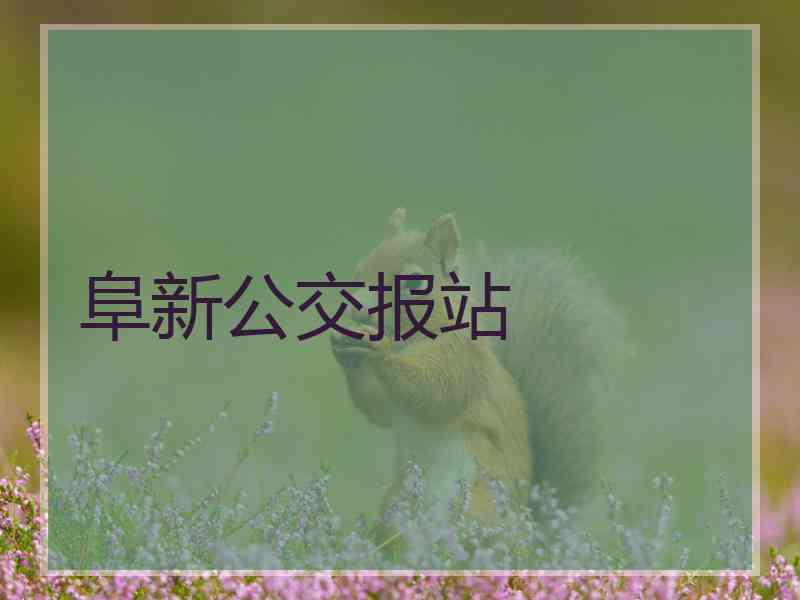 阜新公交报站