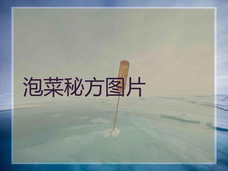 泡菜秘方图片