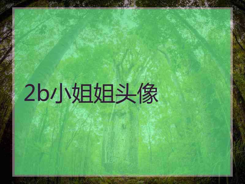 2b小姐姐头像