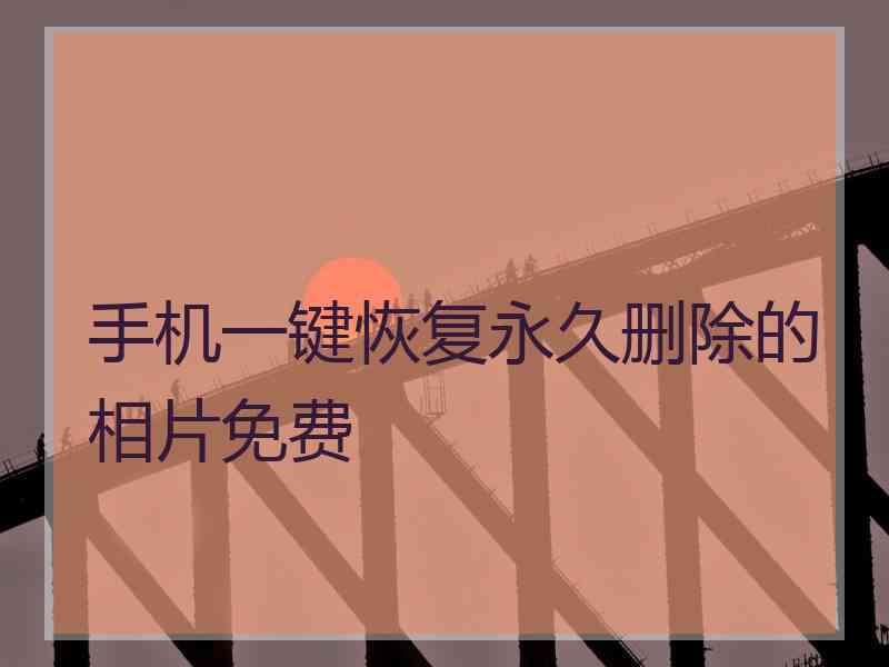 手机一键恢复永久删除的相片免费