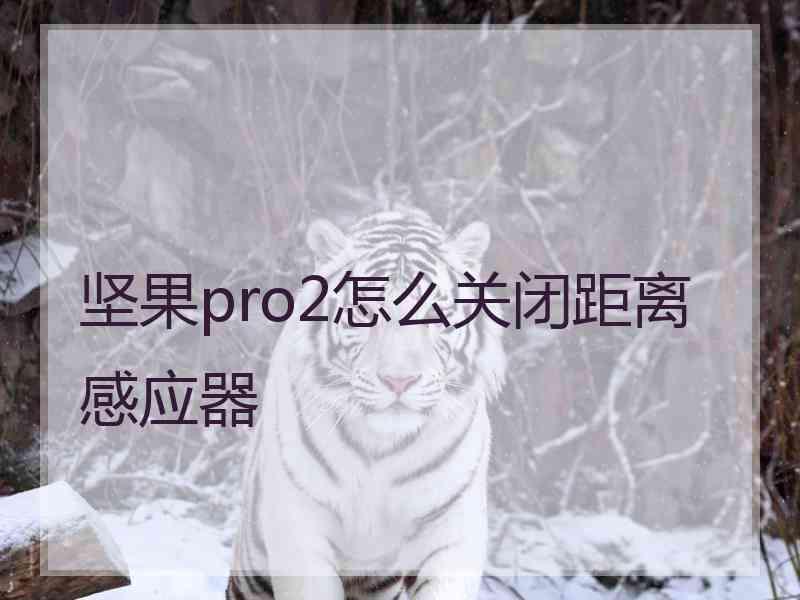 坚果pro2怎么关闭距离感应器