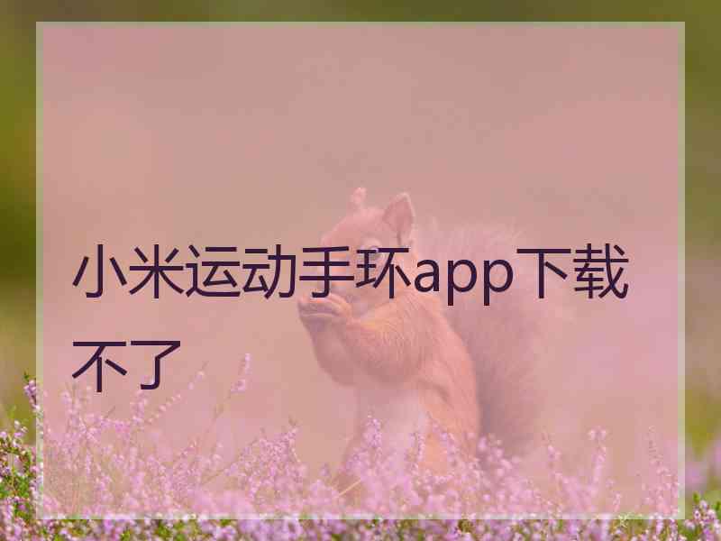 小米运动手环app下载不了