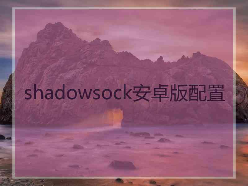 shadowsock安卓版配置