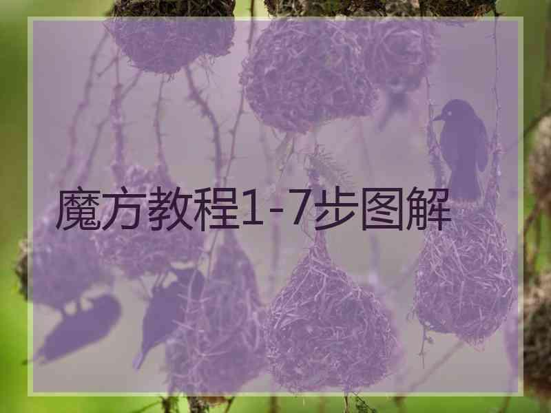魔方教程1-7步图解