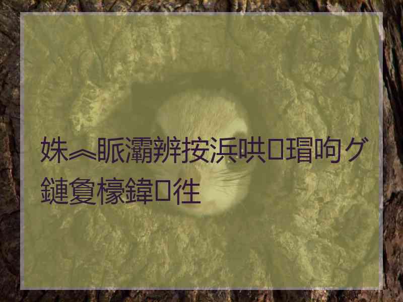 姝︽眽灞辨按浜哄瑁呴グ鏈夐檺鍏徃
