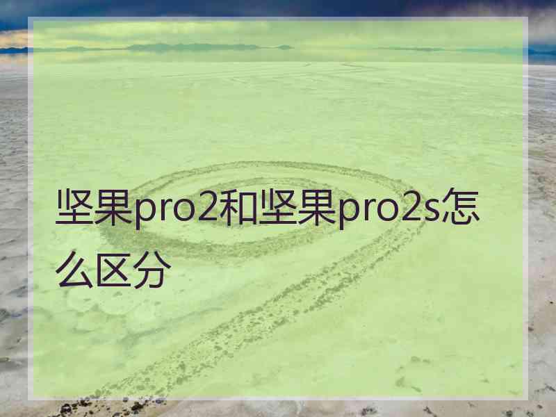 坚果pro2和坚果pro2s怎么区分