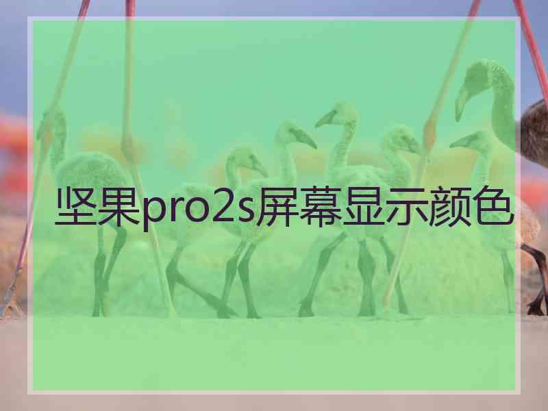 坚果pro2s屏幕显示颜色