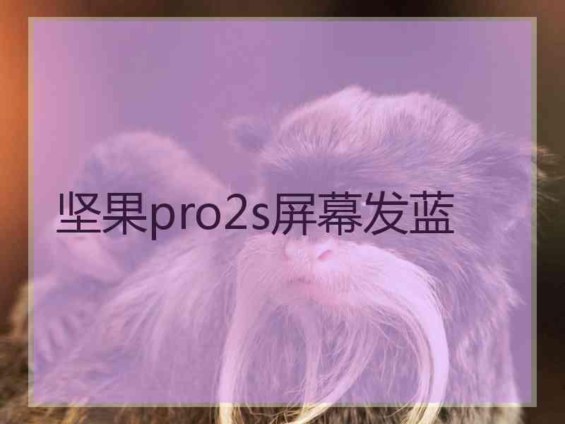 坚果pro2s屏幕发蓝
