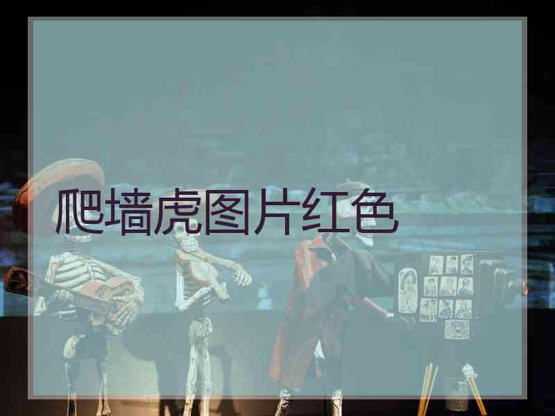 爬墙虎图片红色