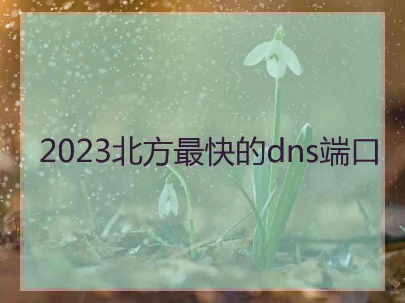 2023北方最快的dns端口