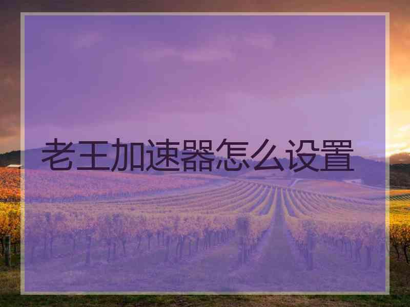 老王加速器怎么设置