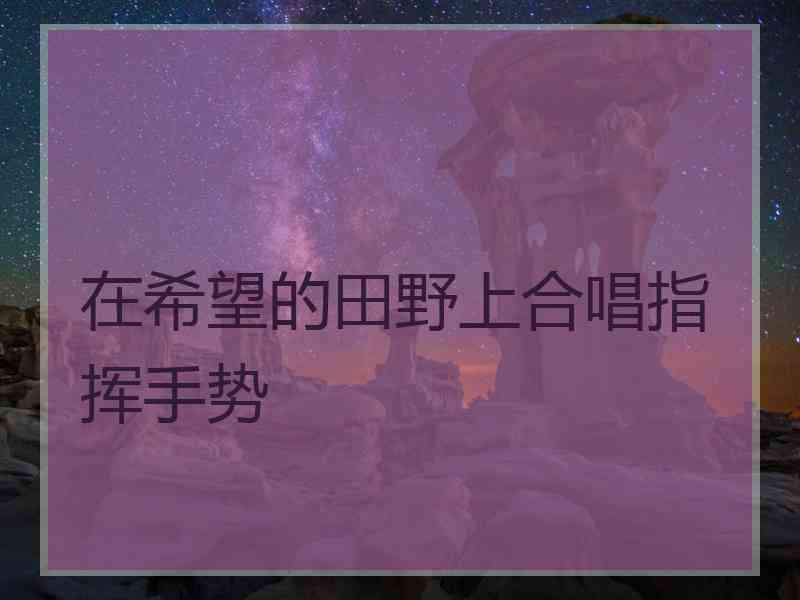 在希望的田野上合唱指挥手势