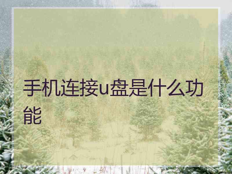 手机连接u盘是什么功能