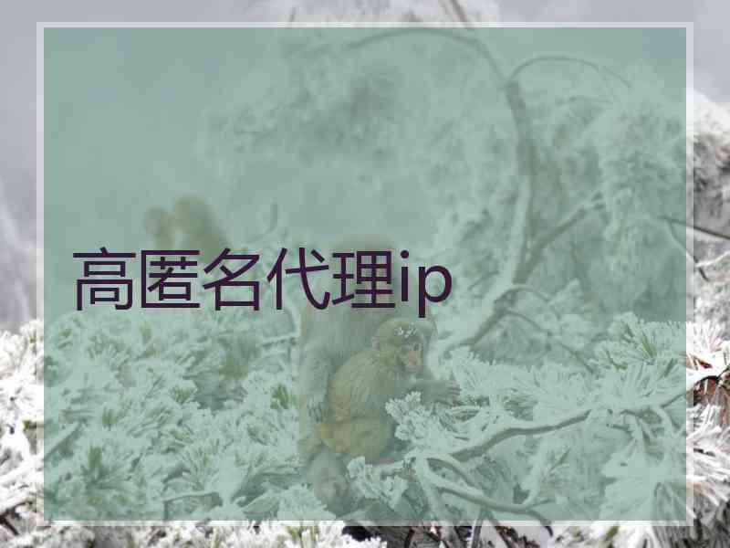 高匿名代理ip