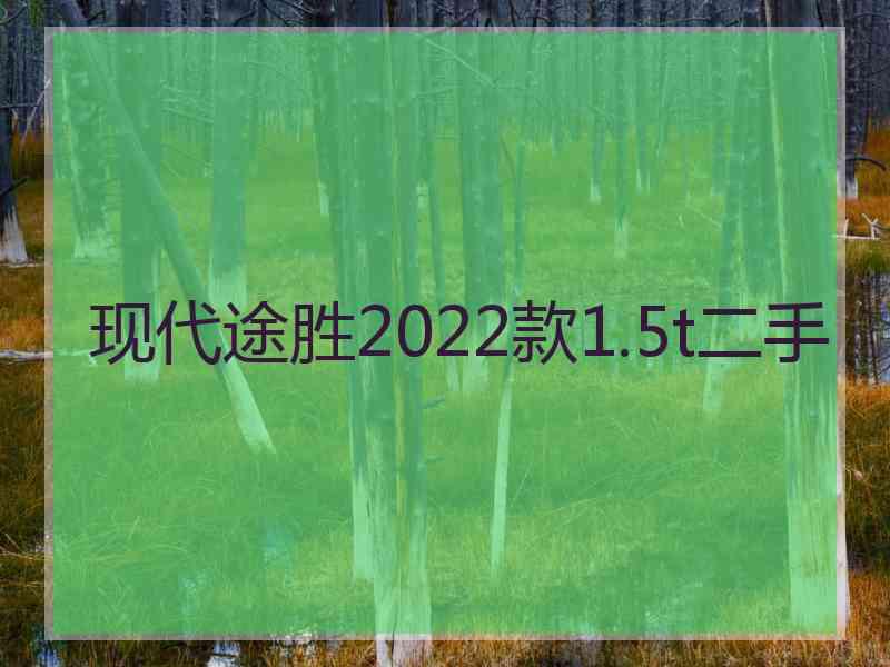 现代途胜2022款1.5t二手