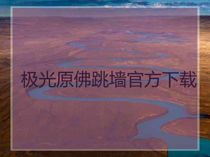 极光原佛跳墙官方下载