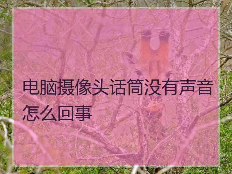 电脑摄像头话筒没有声音怎么回事