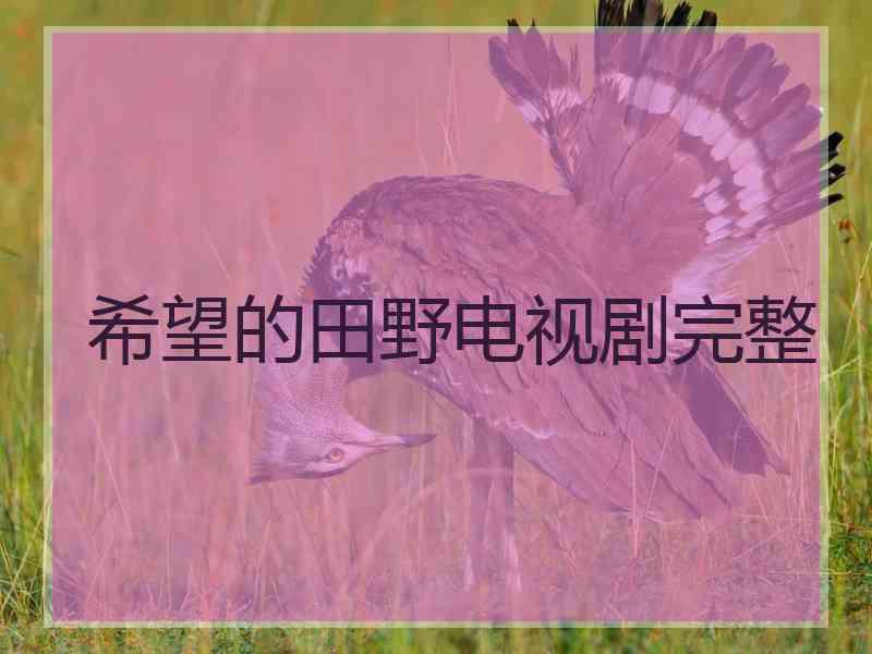希望的田野电视剧完整