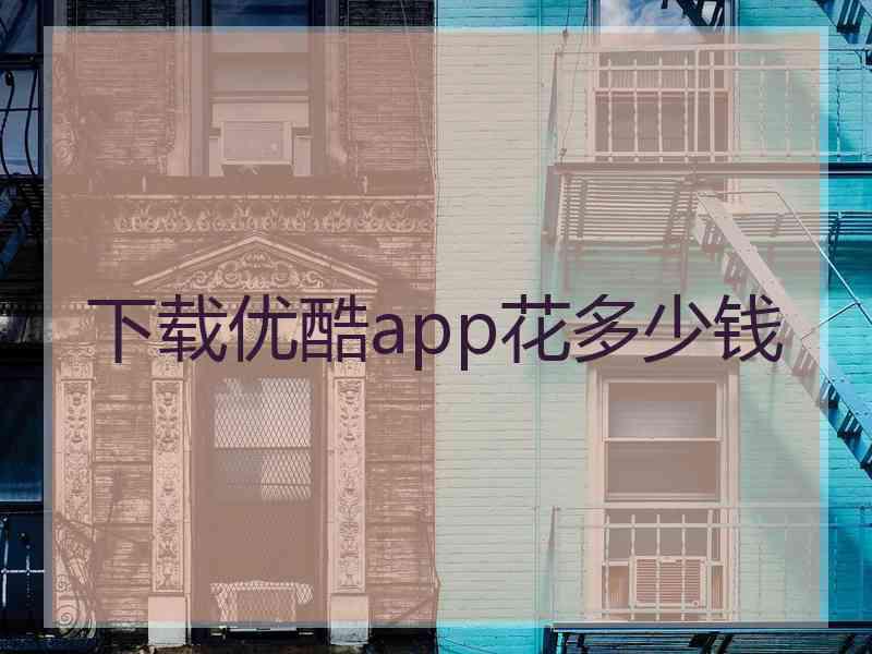 下载优酷app花多少钱