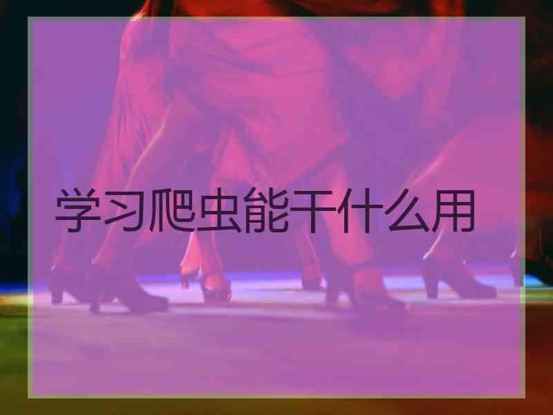 学习爬虫能干什么用