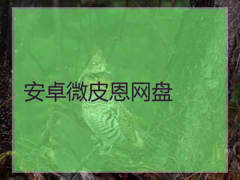 安卓微皮恩网盘