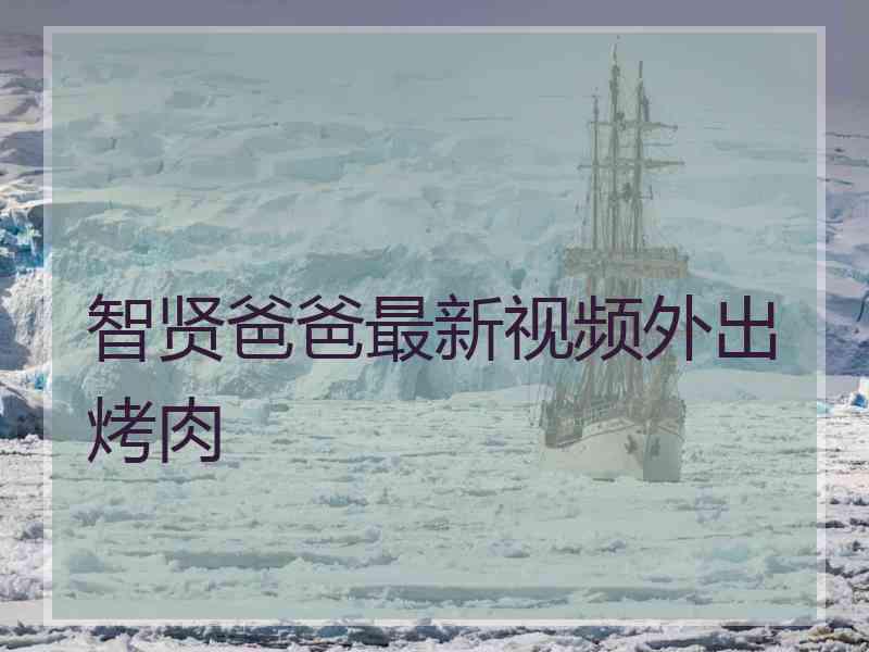 智贤爸爸最新视频外出烤肉