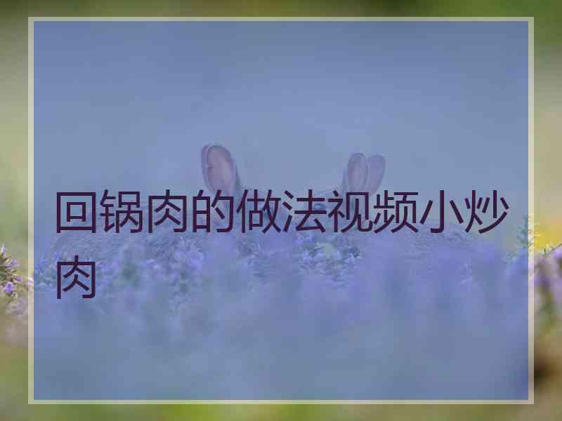 回锅肉的做法视频小炒肉