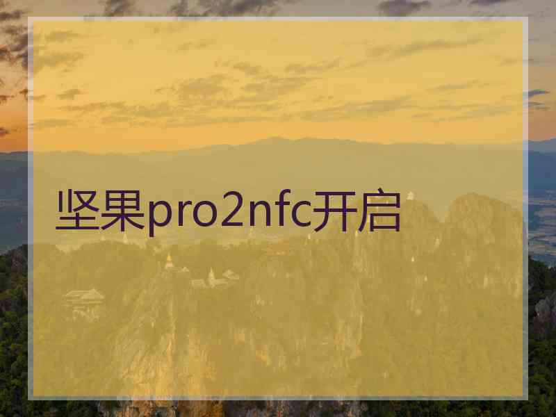 坚果pro2nfc开启