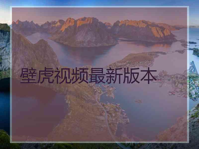 壁虎视频最新版本