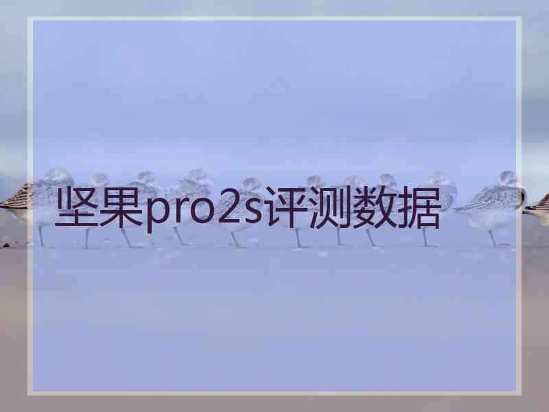 坚果pro2s评测数据