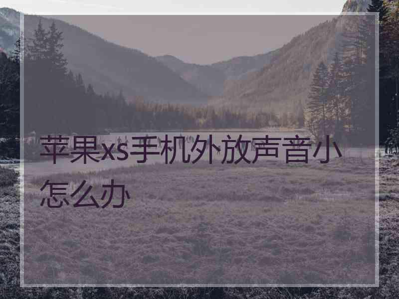 苹果xs手机外放声音小怎么办