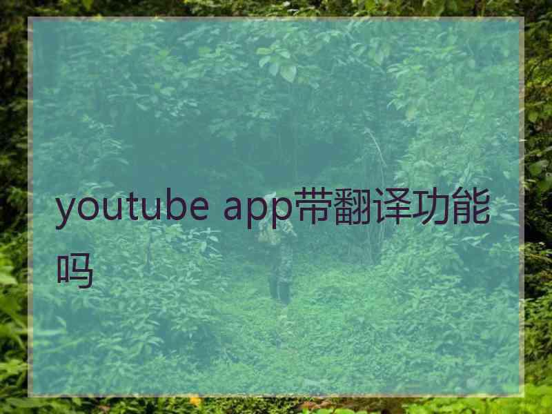 youtube app带翻译功能吗