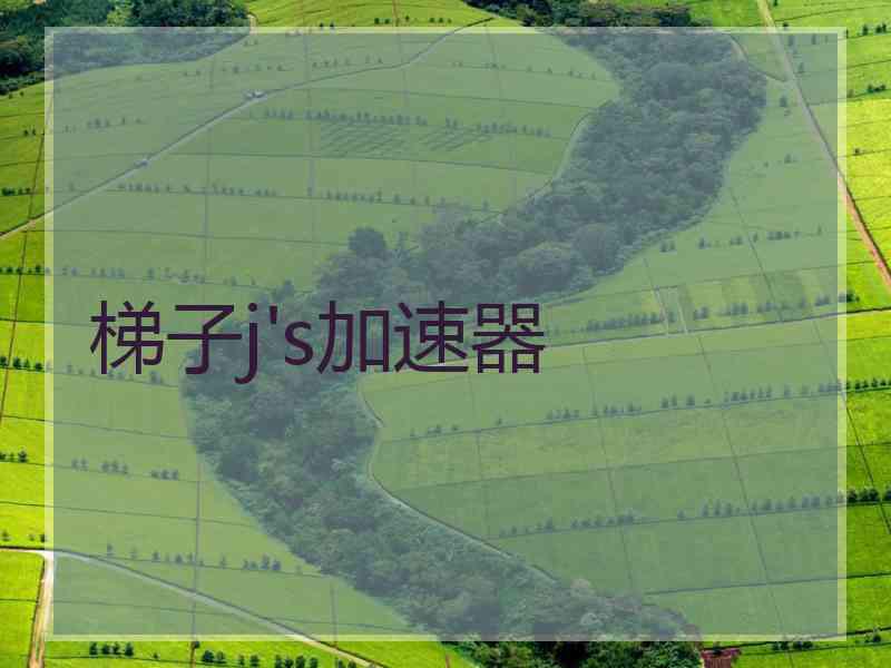 梯子j's加速器