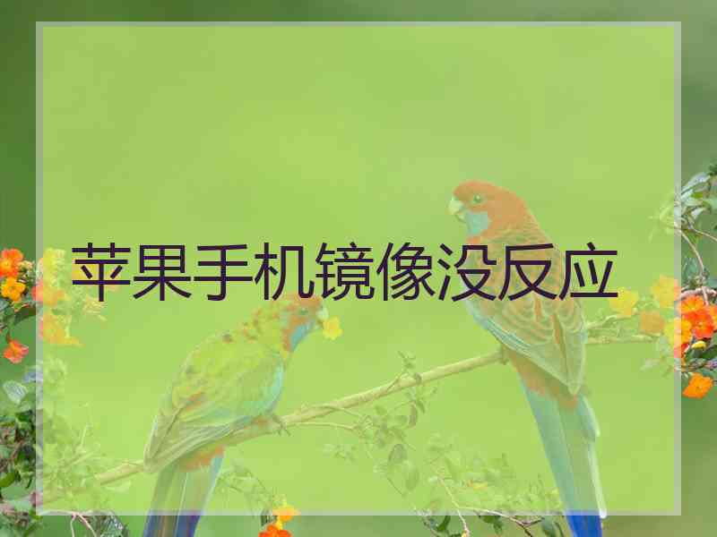 苹果手机镜像没反应