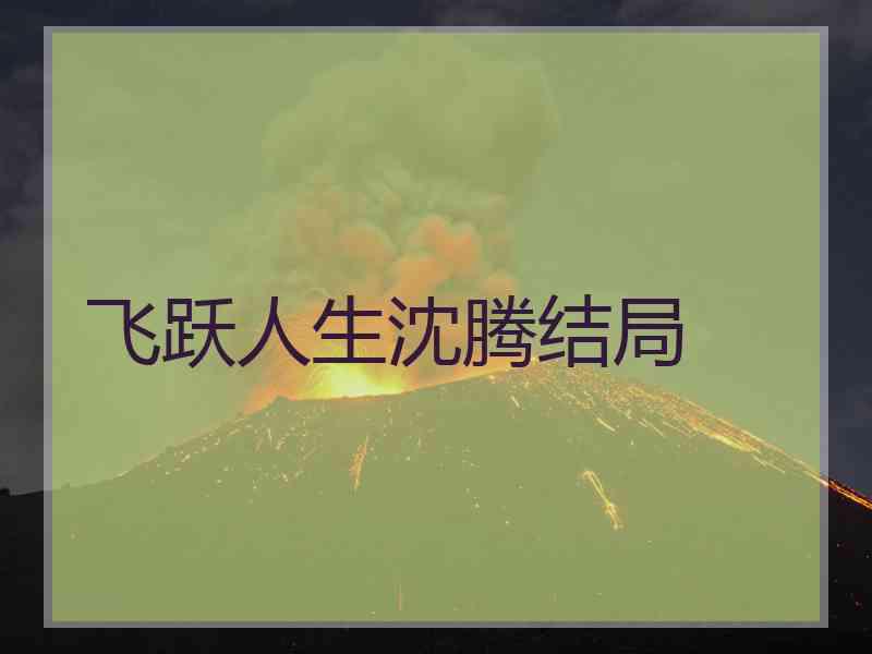 飞跃人生沈腾结局