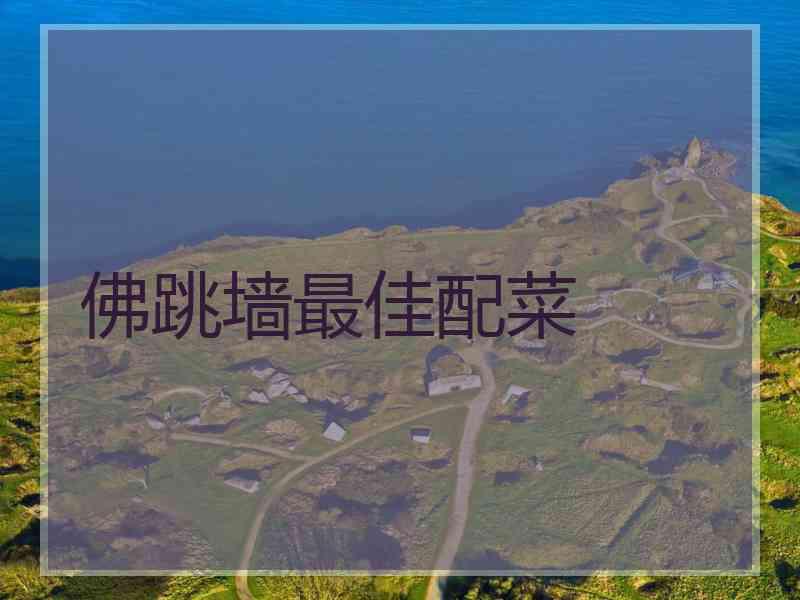 佛跳墙最佳配菜