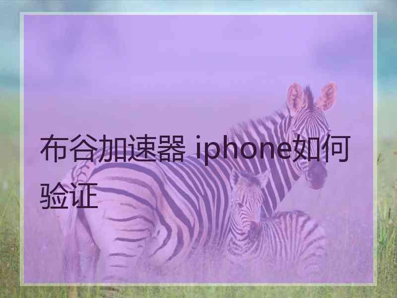 布谷加速器 iphone如何验证