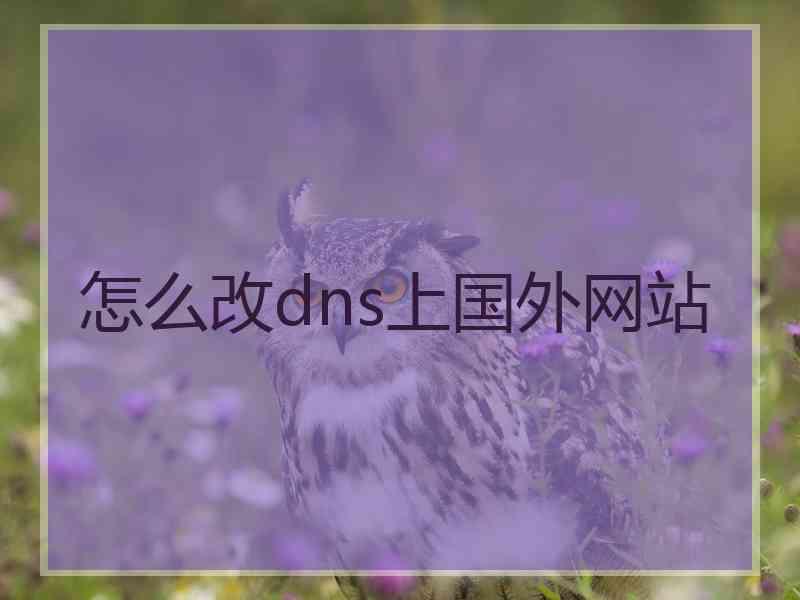 怎么改dns上国外网站