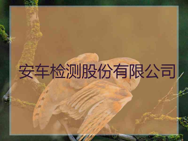 安车检测股份有限公司