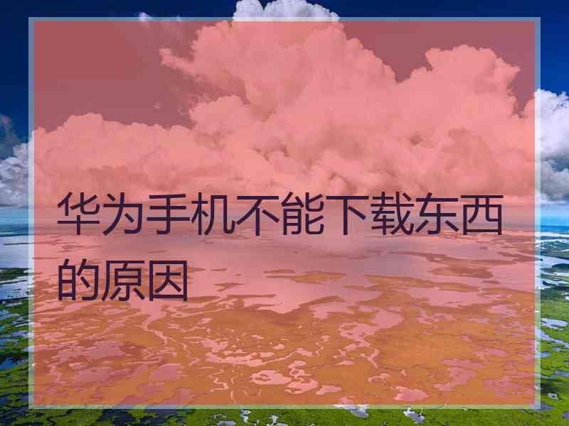 华为手机不能下载东西的原因