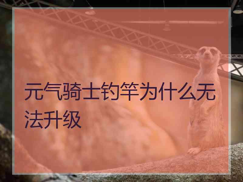 元气骑士钓竿为什么无法升级