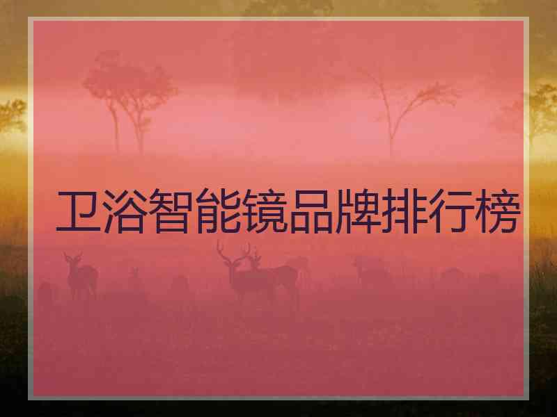 卫浴智能镜品牌排行榜