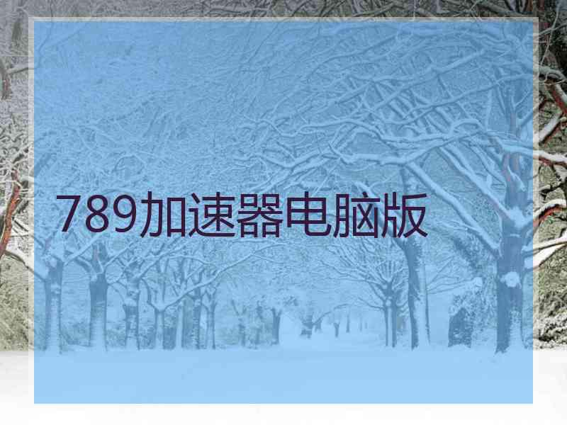 789加速器电脑版