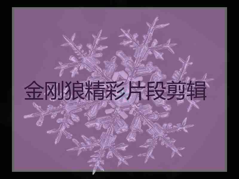 金刚狼精彩片段剪辑