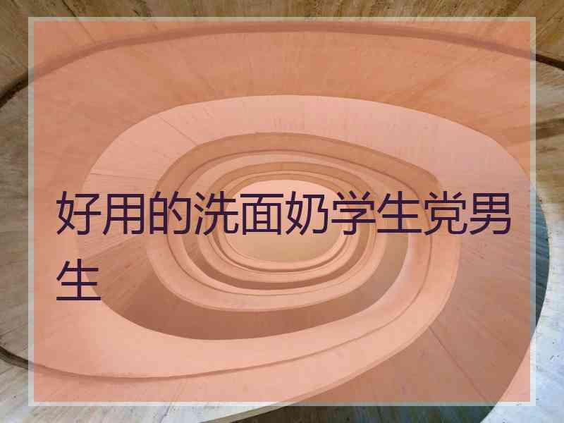 好用的洗面奶学生党男生